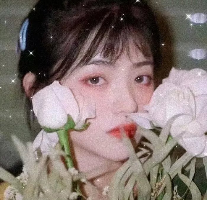 美景圣诞